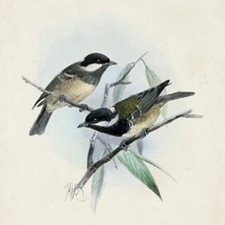 Antique Birds VII