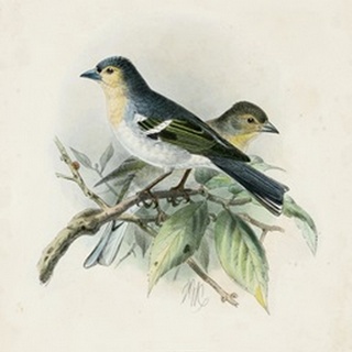 Antique Birds II