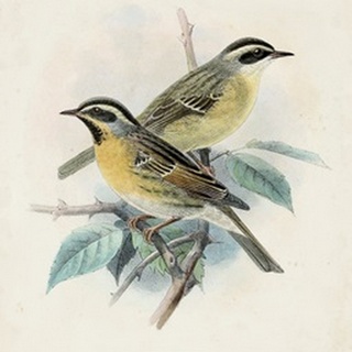 Antique Birds I