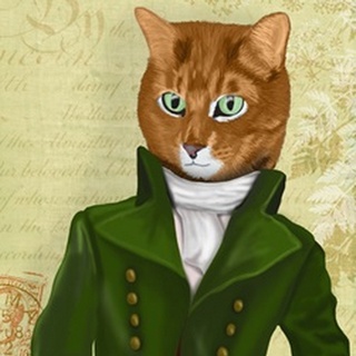Ginger Cat in Green Coat