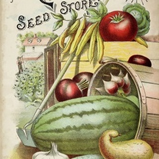 Antique Seed Packets VI