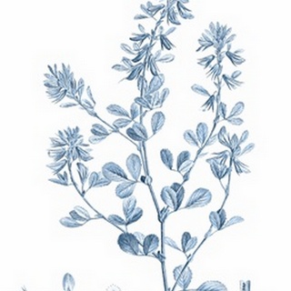 Antique Botanical in Blue VIII