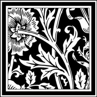 Printed Graphic Floral Motif IV