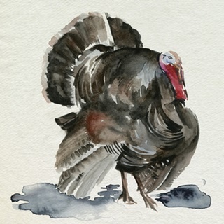 Watercolor Turkey I