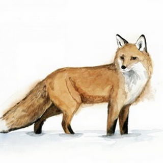 Snow Fox I