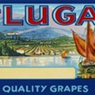 Vintage Wine Label III