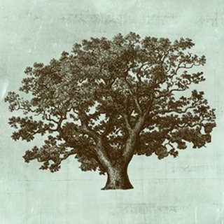 Spa Tree IV