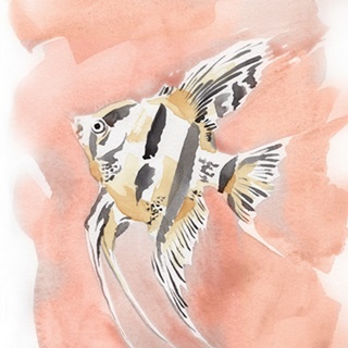 Blush and Ochre Angel Fish II