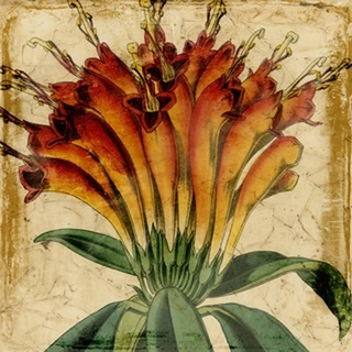 Vibrant Floral IV