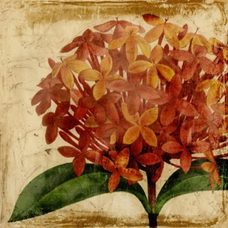 Vibrant Floral III