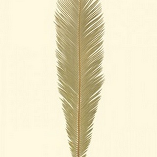 Small Sago Palm I