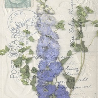 Small Postcard Wildflowers II