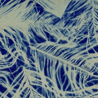 Textures in Blue IV