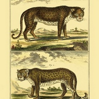 Diderot's Panther and Leopard