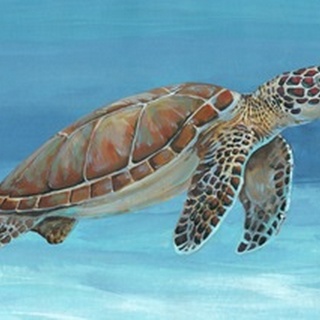 Ocean Sea Turtle I