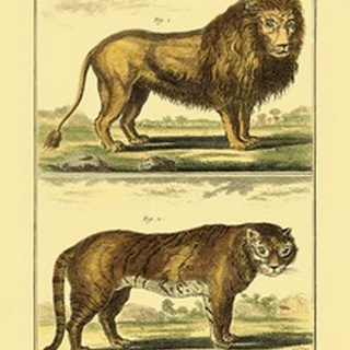Diderot's Lion and Tiger