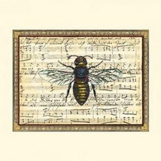 Bumblebee Harmony II
