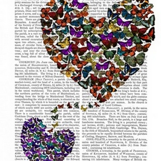 Two Butterfly Hearts