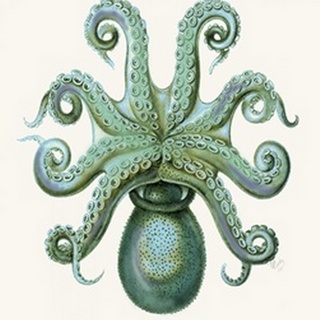 Turquoise Octopus and Squid c