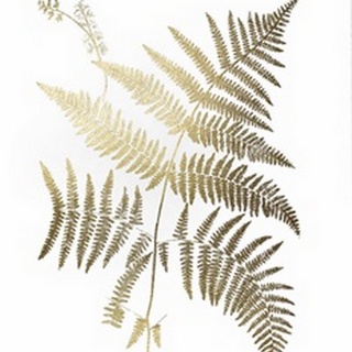 Gold Foil Ferns I