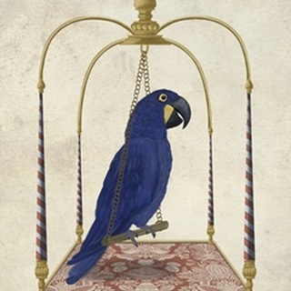 Blue Parrot on Swing