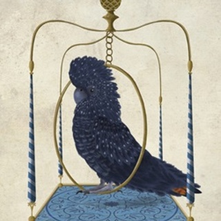 Black Cockatoo on Swing