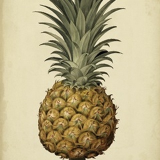 Brookshaw Antique Pineapple II