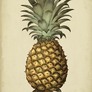 Brookshaw Antique Pineapple I
