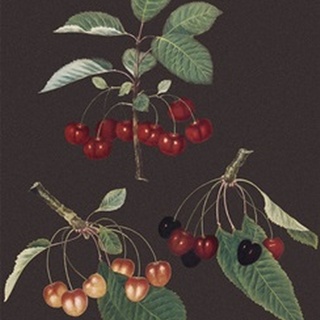 Brookshaw Cherries