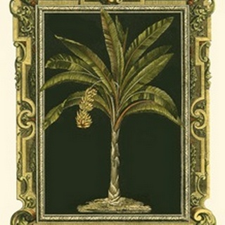 Decorative Framed Palm I
