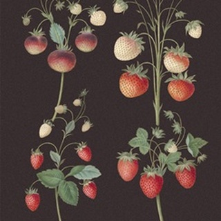 Brookshaw Strawberries