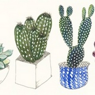 Four Succulents II
