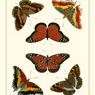 Cramer Butterflies I