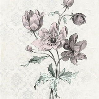 Victorian Blooms II