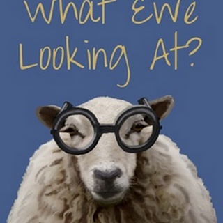What Ewe Looking At Sheep Print