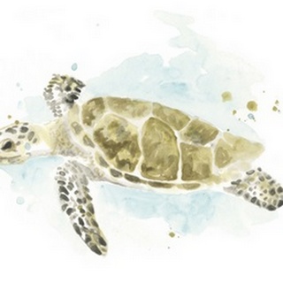 Watercolor Sea Turtle Study II