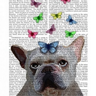 White French Bulldog and Butterflies