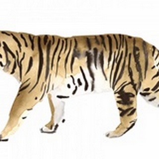 Watercolor Tiger III