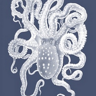 White Octopus on Indigo Blue a