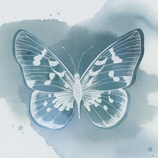Beryl Butterfly III