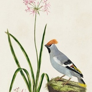Bird in Habitat II