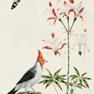 Bird in Habitat I