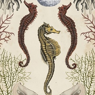 Antiquarian Menagerie - Seahorse