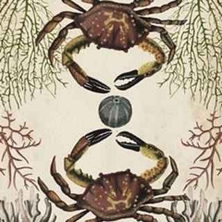 Antiquarian Menagerie - Crab