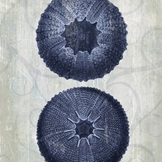 Indigo Blue Sea Urchins b