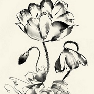 Ink Wash Floral IV - Poppy