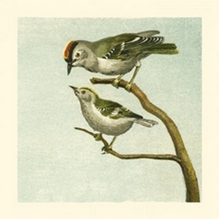 Mini Vintage Birds II