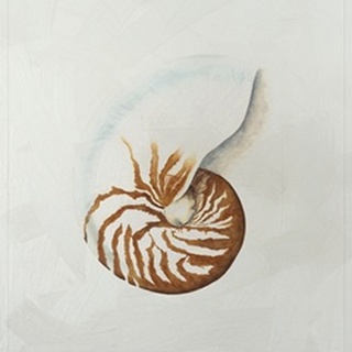 Lustr Nautilus in Pearl White