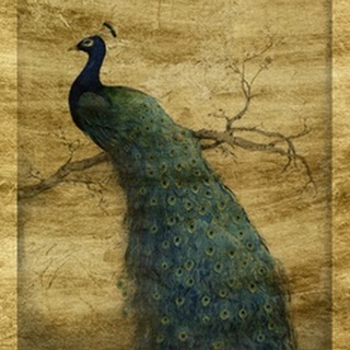 Lustr Peacock Blue II