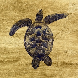 Lustr Marine Turtle II
